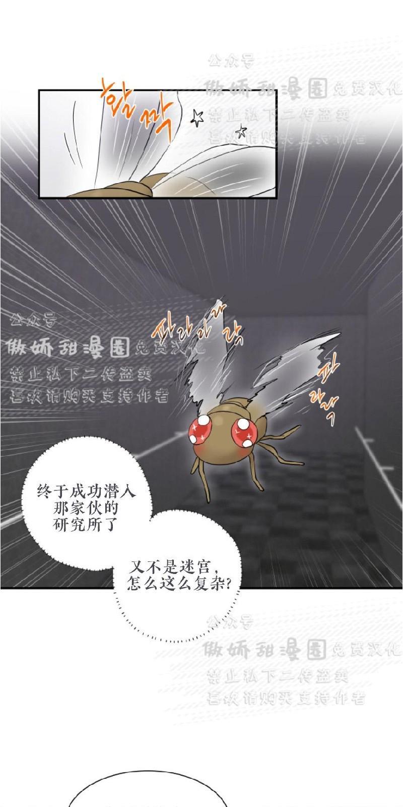 我的X报告[耽美]韩漫全集-第52话无删减无遮挡章节图片 