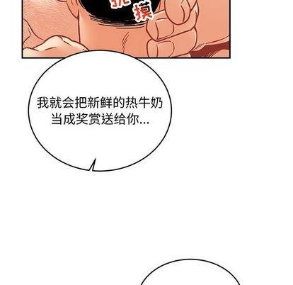 亲爱的你-Liebling！[耽美]韩漫全集-第96话无删减无遮挡章节图片 