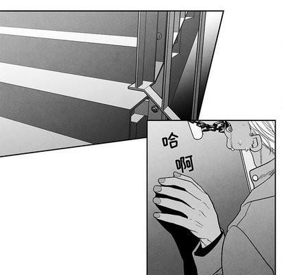 墓志铭[耽美]韩漫全集-第19话无删减无遮挡章节图片 