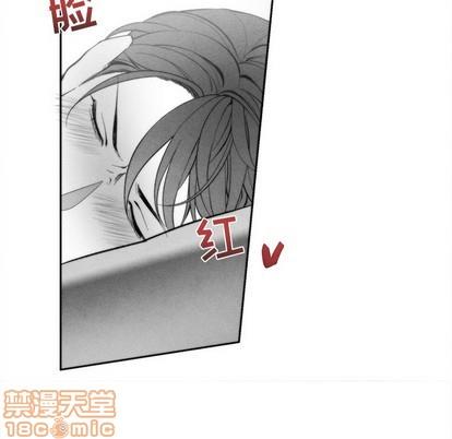 墓志铭[耽美]韩漫全集-第31话无删减无遮挡章节图片 