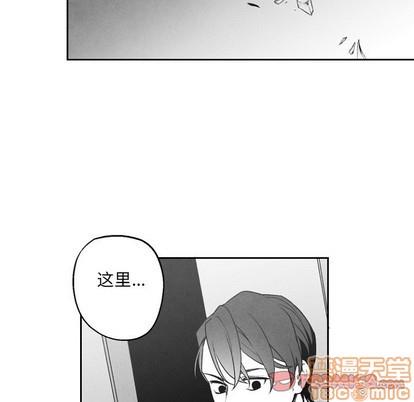 墓志铭[耽美]韩漫全集-第49话无删减无遮挡章节图片 