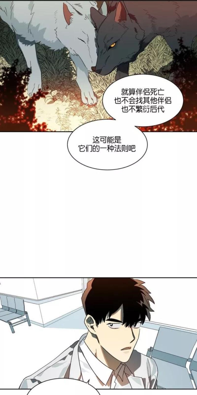 月落[耽美]韩漫全集-第8话无删减无遮挡章节图片 