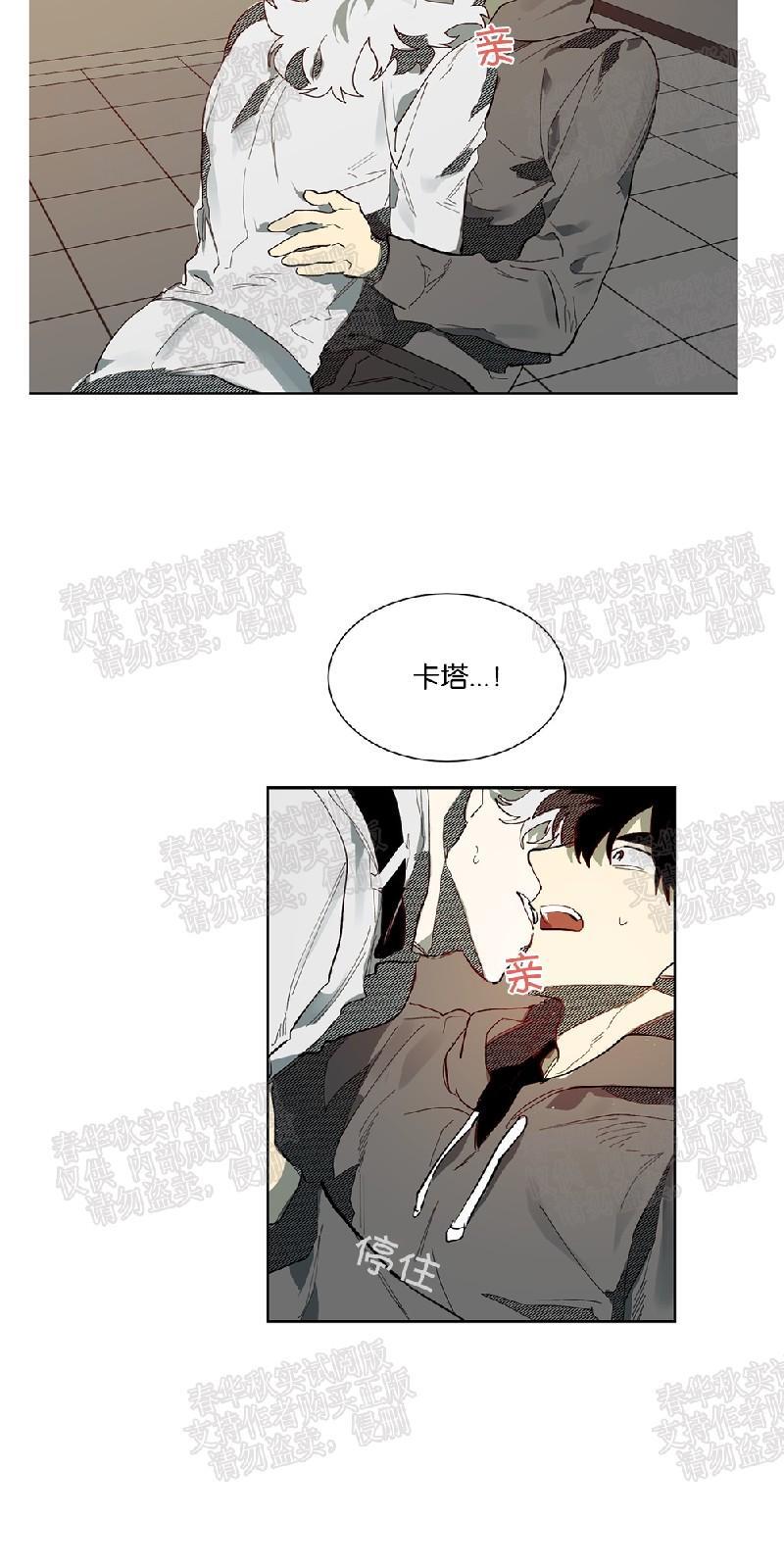 月落[耽美]韩漫全集-第54话无删减无遮挡章节图片 