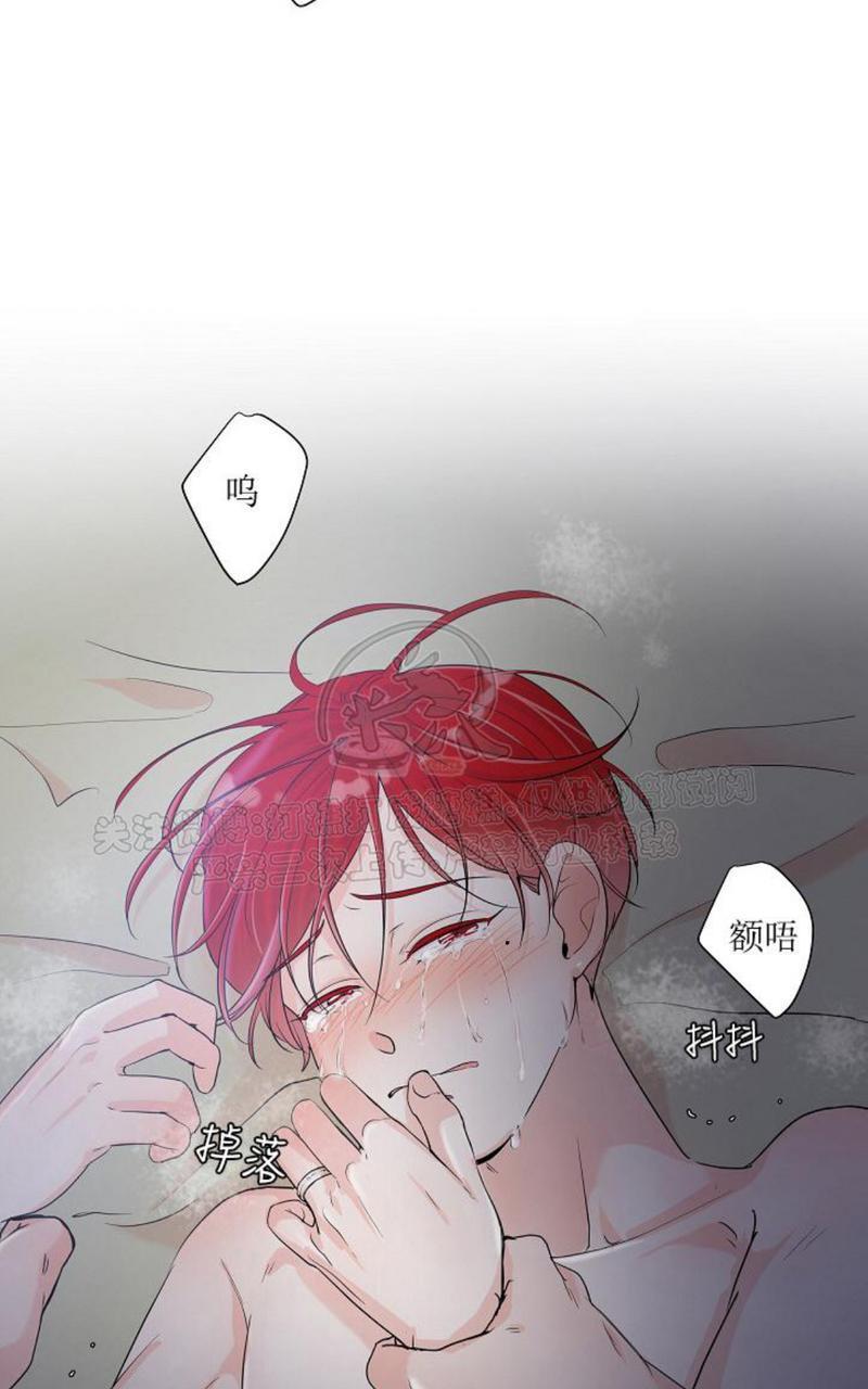 房外的忠诚！_房外的房外传[耽美]韩漫全集-第1话无删减无遮挡章节图片 