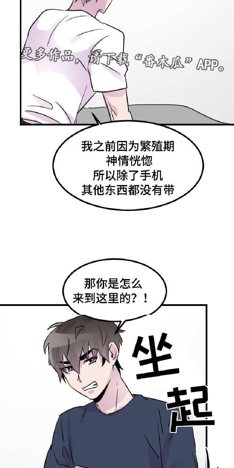 豪客/merryme,alpha[耽美]韩漫全集-第25话无删减无遮挡章节图片 