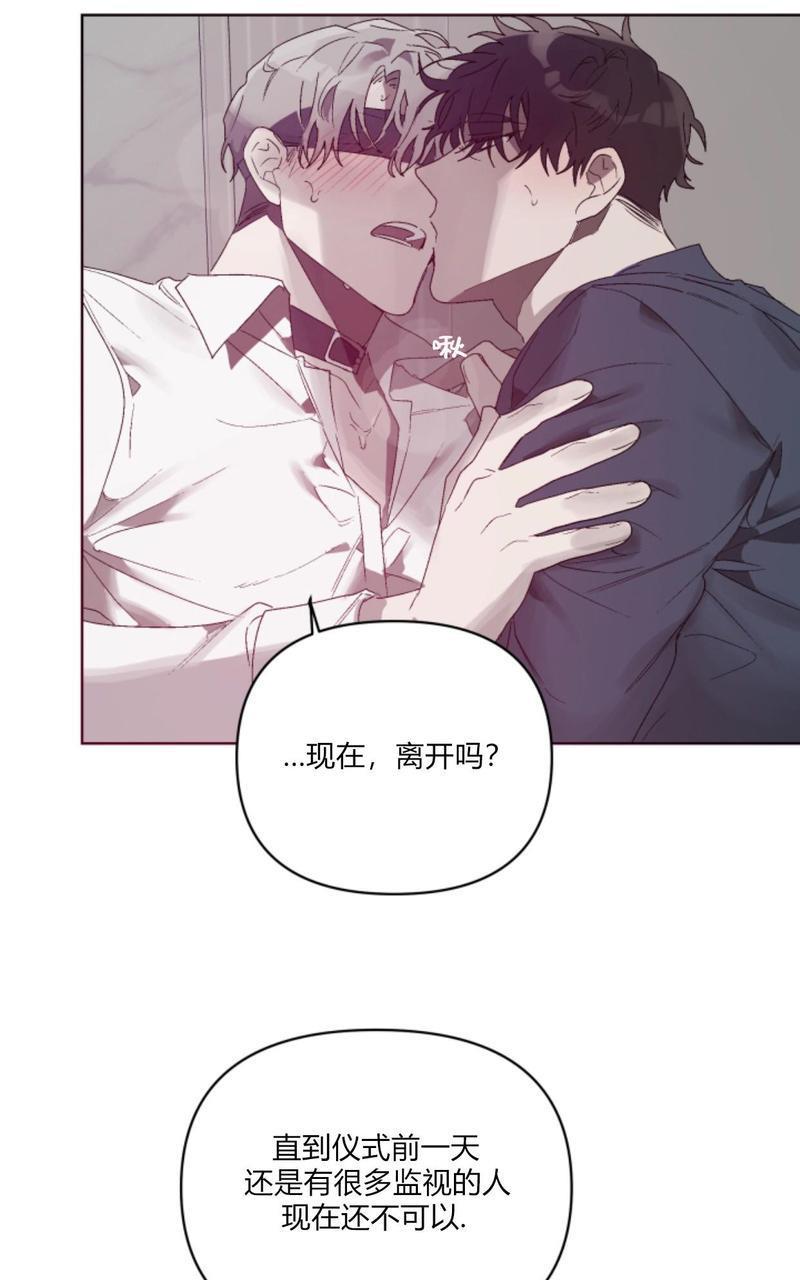舌之禁果[耽美]韩漫全集-第5话无删减无遮挡章节图片 