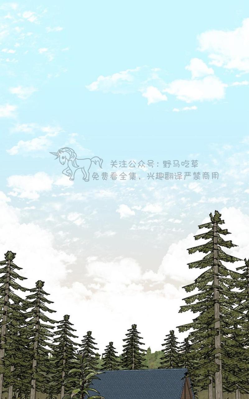 逐龙/追龙[耽美]韩漫全集-第1话无删减无遮挡章节图片 