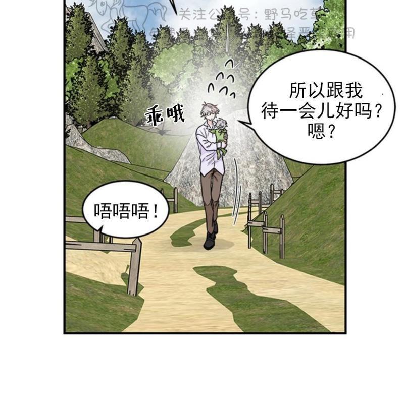 逐龙/追龙[耽美]韩漫全集-第1话无删减无遮挡章节图片 
