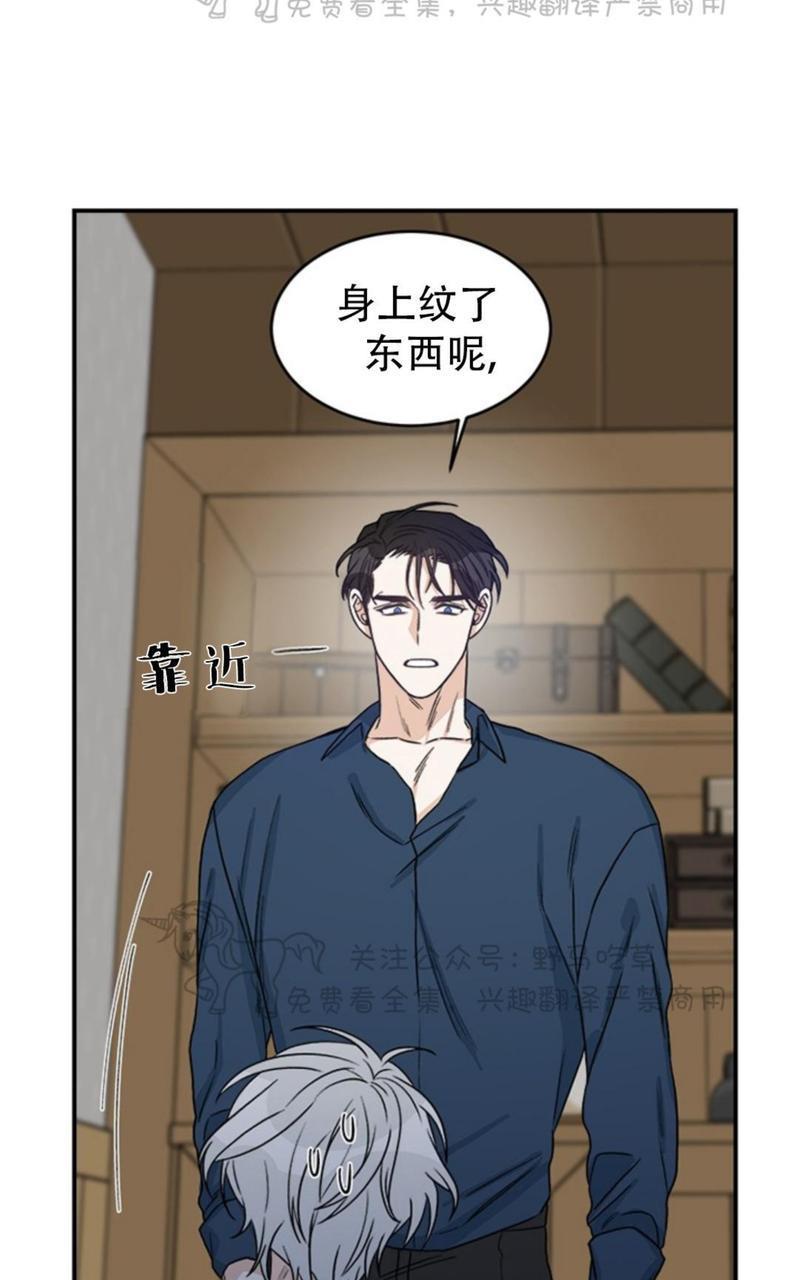 逐龙/追龙[耽美]韩漫全集-第2话无删减无遮挡章节图片 