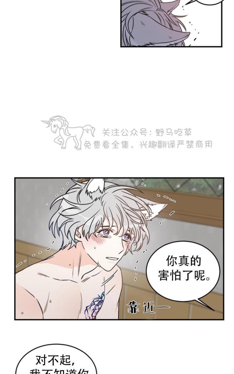逐龙/追龙[耽美]韩漫全集-第2话无删减无遮挡章节图片 
