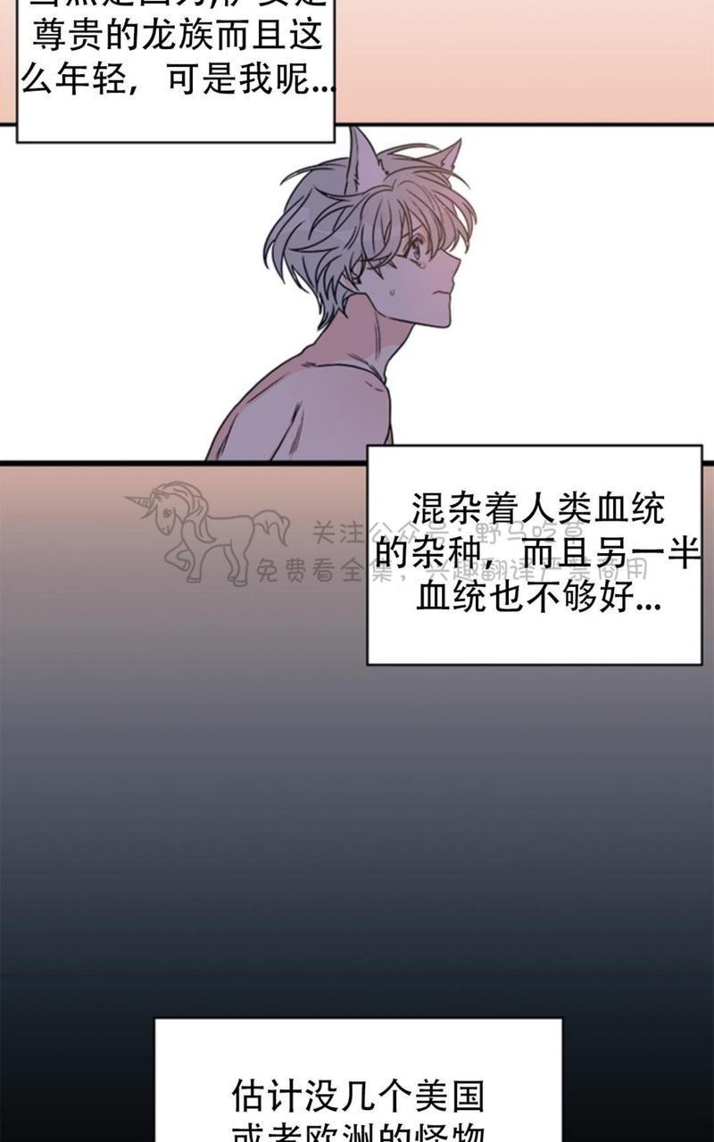 逐龙/追龙[耽美]韩漫全集-第2话无删减无遮挡章节图片 