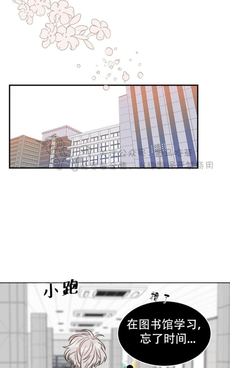 逐龙/追龙[耽美]韩漫全集-第3话无删减无遮挡章节图片 
