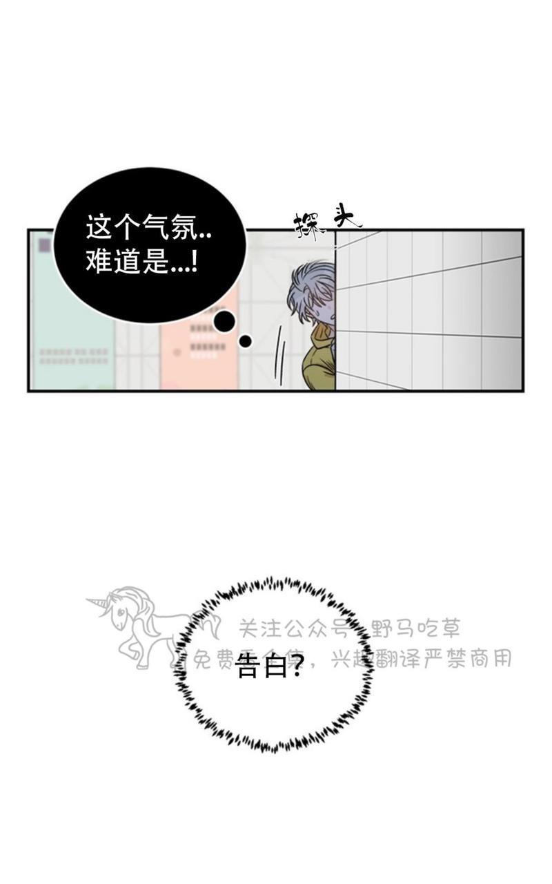 逐龙/追龙[耽美]韩漫全集-第3话无删减无遮挡章节图片 