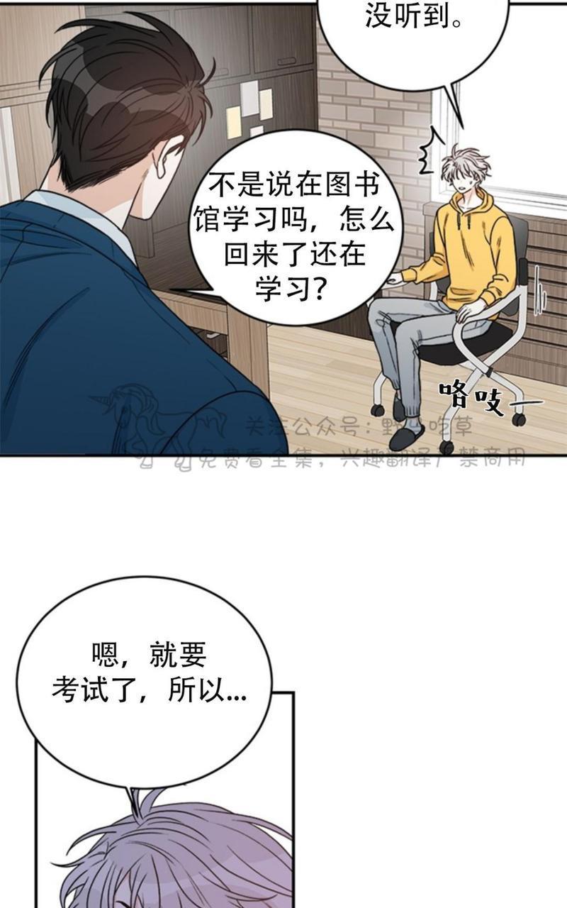 逐龙/追龙[耽美]韩漫全集-第3话无删减无遮挡章节图片 