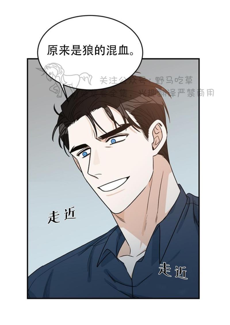 逐龙/追龙[耽美]韩漫全集-第4话无删减无遮挡章节图片 