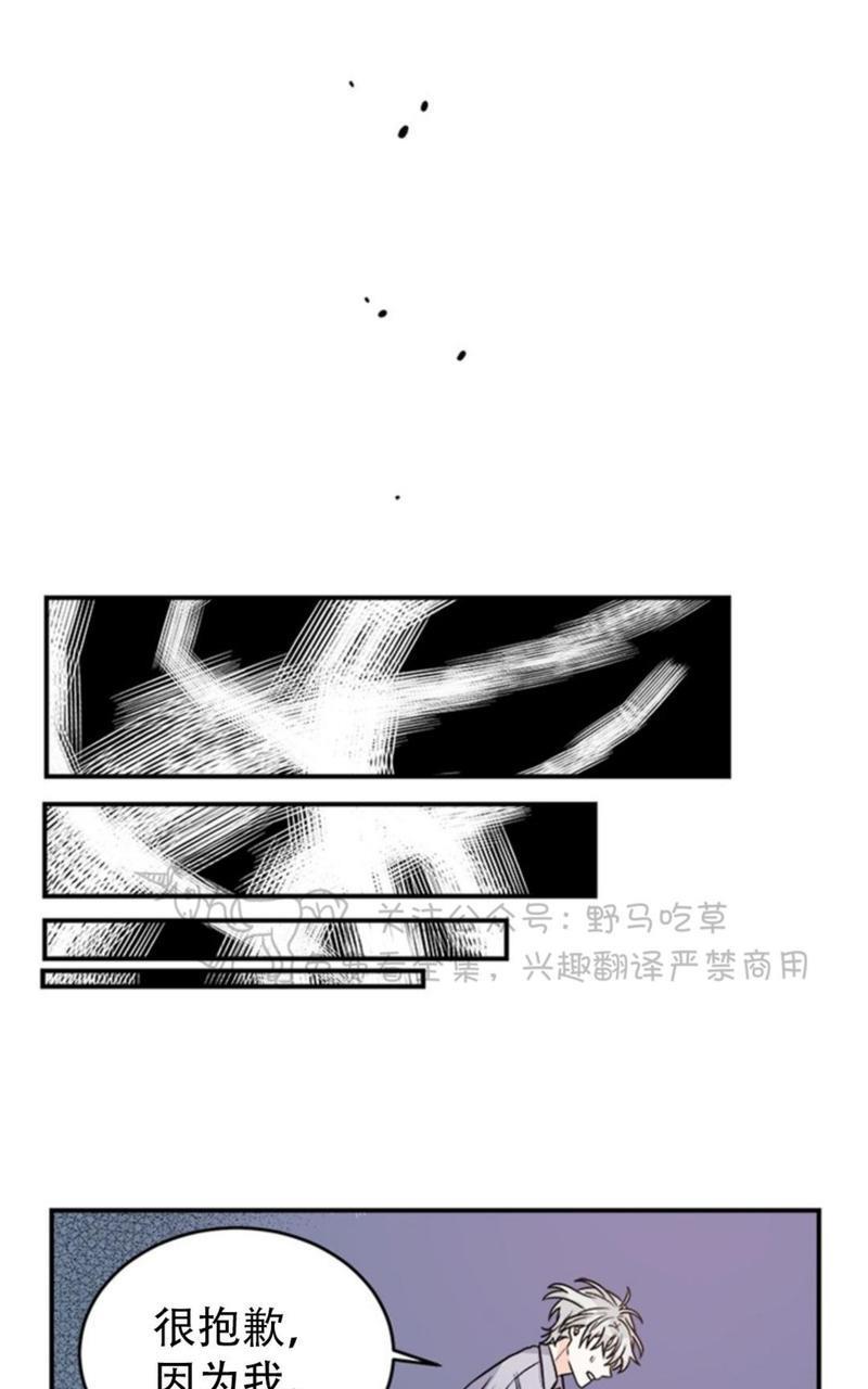 逐龙/追龙[耽美]韩漫全集-第4话无删减无遮挡章节图片 