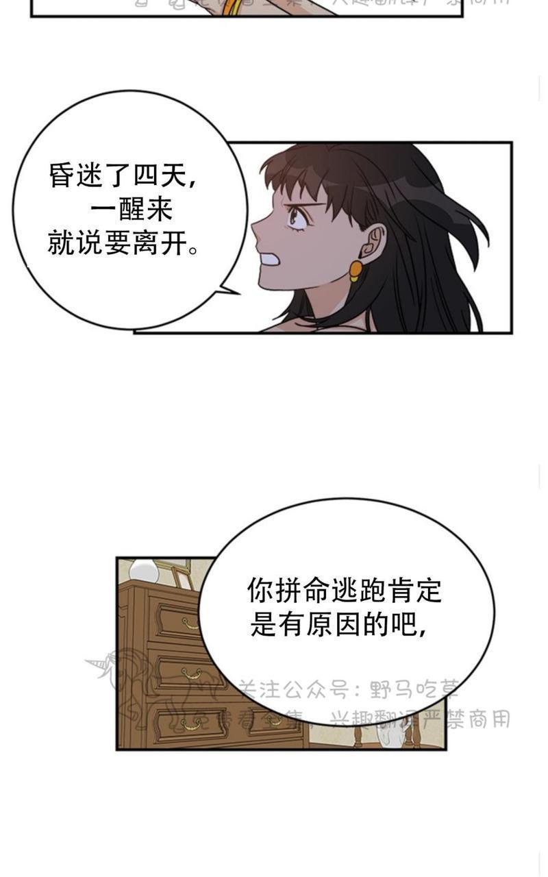 逐龙/追龙[耽美]韩漫全集-第4话无删减无遮挡章节图片 