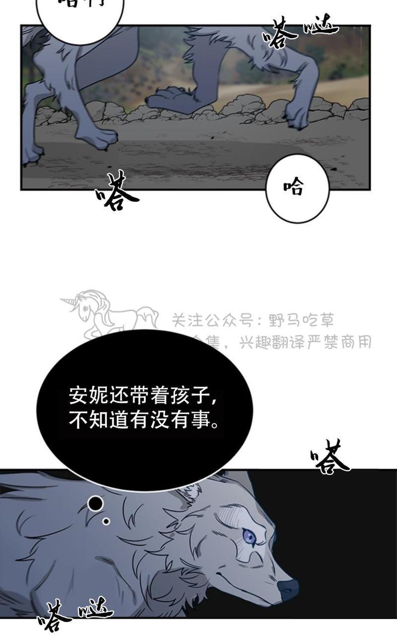 逐龙/追龙[耽美]韩漫全集-第5话无删减无遮挡章节图片 