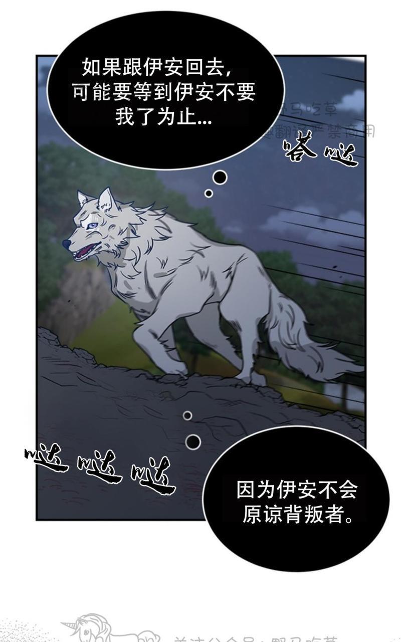 逐龙/追龙[耽美]韩漫全集-第5话无删减无遮挡章节图片 