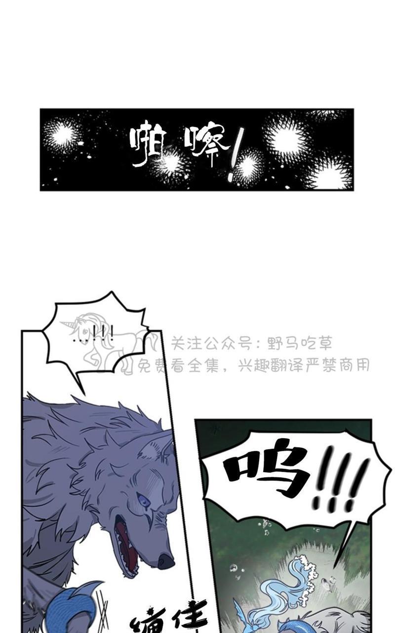 逐龙/追龙[耽美]韩漫全集-第5话无删减无遮挡章节图片 