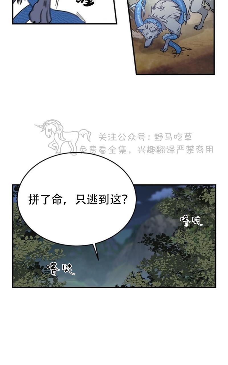 逐龙/追龙[耽美]韩漫全集-第5话无删减无遮挡章节图片 