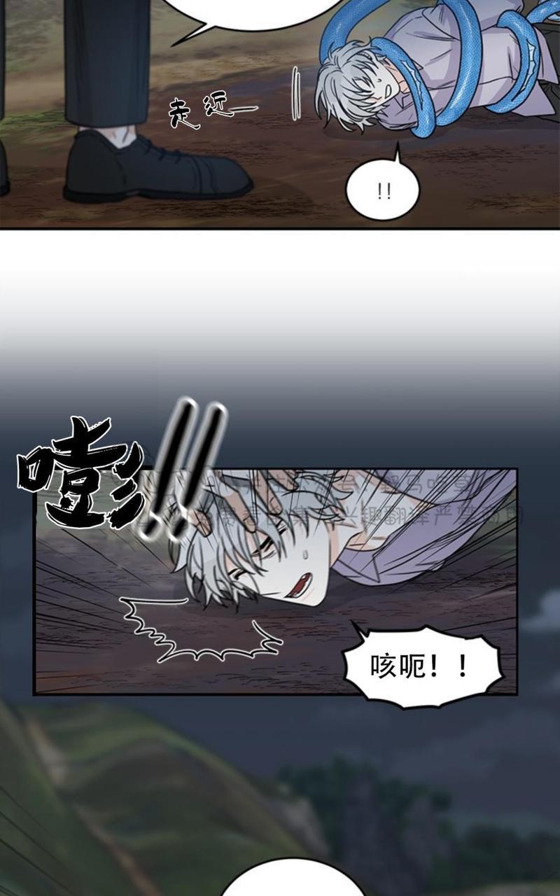 逐龙/追龙[耽美]韩漫全集-第5话无删减无遮挡章节图片 