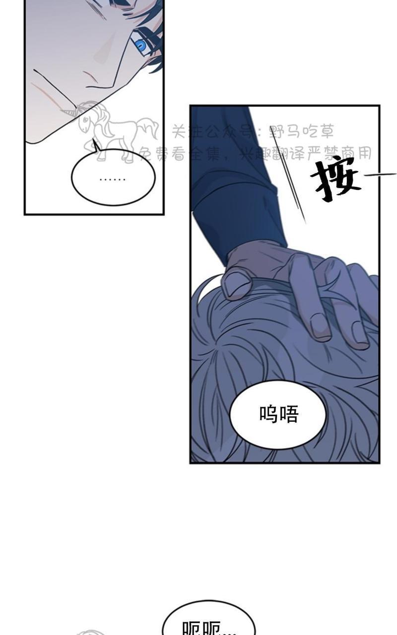 逐龙/追龙[耽美]韩漫全集-第5话无删减无遮挡章节图片 