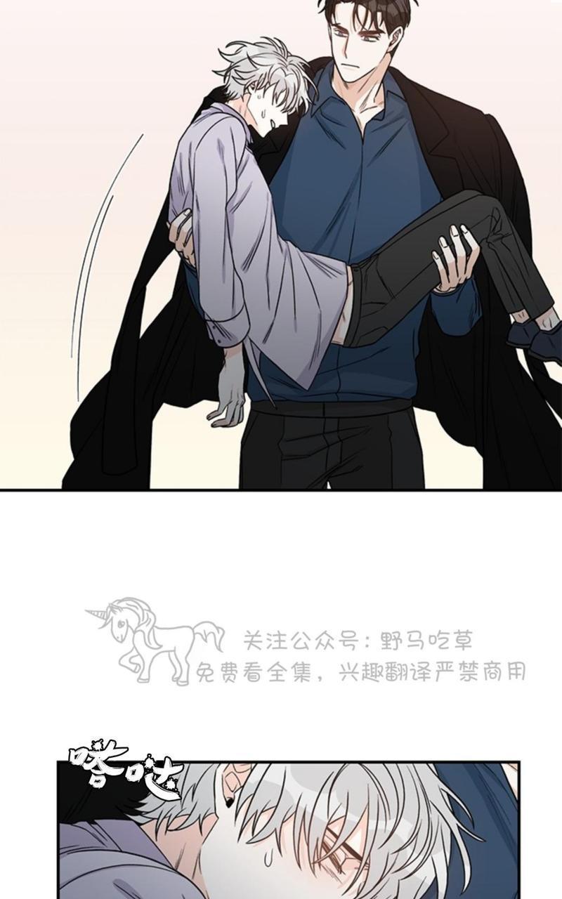 逐龙/追龙[耽美]韩漫全集-第5话无删减无遮挡章节图片 