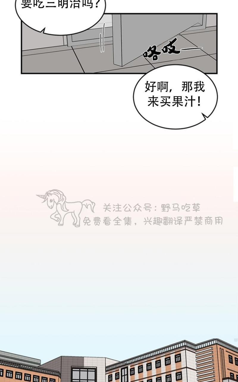 逐龙/追龙[耽美]韩漫全集-第5话无删减无遮挡章节图片 