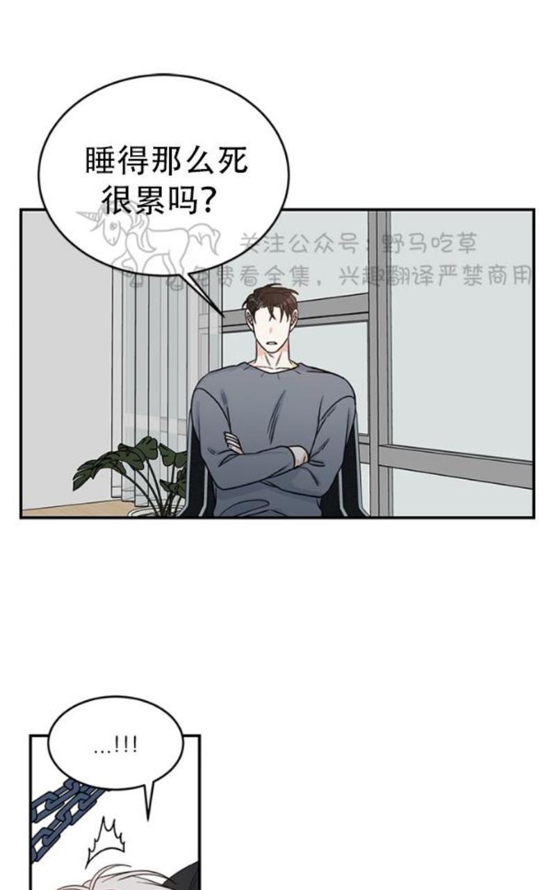 逐龙/追龙[耽美]韩漫全集-第6话无删减无遮挡章节图片 