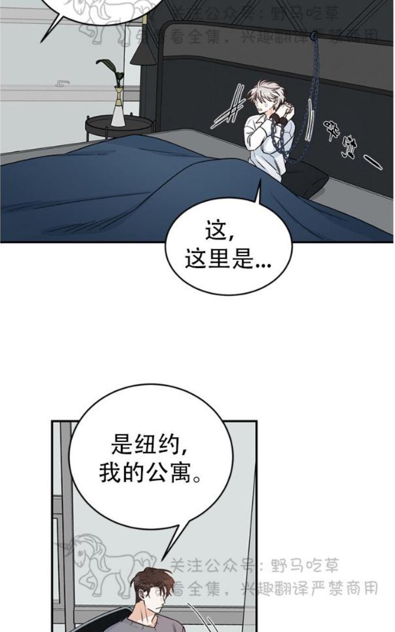 逐龙/追龙[耽美]韩漫全集-第6话无删减无遮挡章节图片 