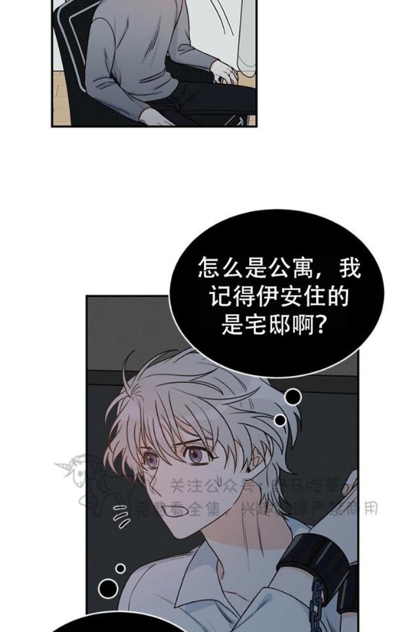 逐龙/追龙[耽美]韩漫全集-第6话无删减无遮挡章节图片 