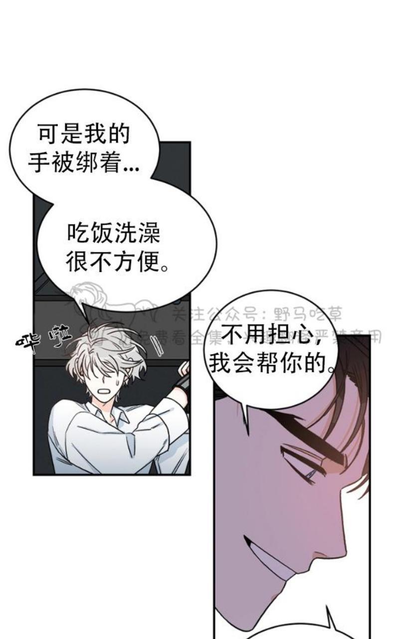 逐龙/追龙[耽美]韩漫全集-第6话无删减无遮挡章节图片 