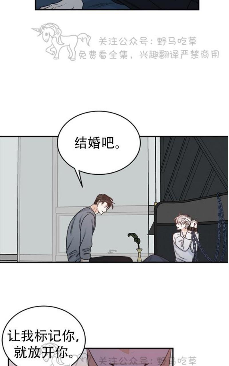 逐龙/追龙[耽美]韩漫全集-第6话无删减无遮挡章节图片 