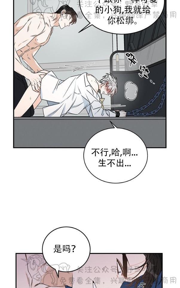 逐龙/追龙[耽美]韩漫全集-第7话无删减无遮挡章节图片 
