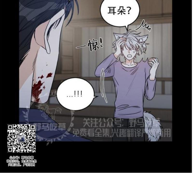 逐龙/追龙[耽美]韩漫全集-第8话无删减无遮挡章节图片 
