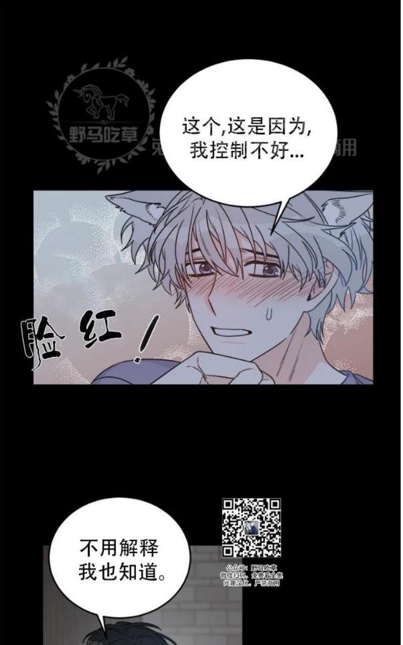 逐龙/追龙[耽美]韩漫全集-第8话无删减无遮挡章节图片 