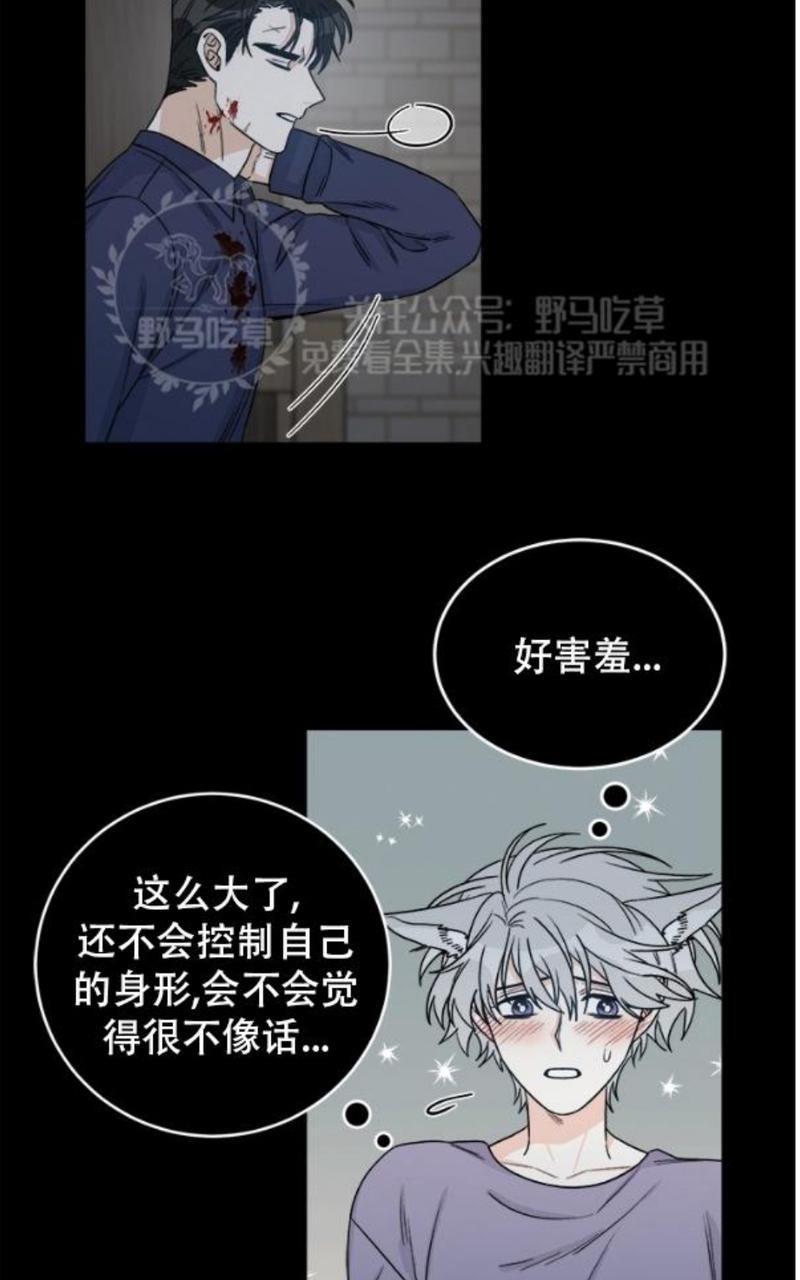 逐龙/追龙[耽美]韩漫全集-第8话无删减无遮挡章节图片 