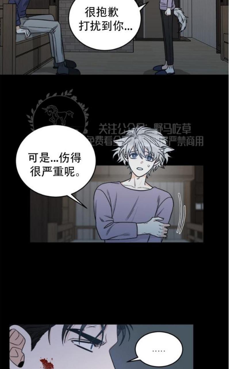 逐龙/追龙[耽美]韩漫全集-第8话无删减无遮挡章节图片 