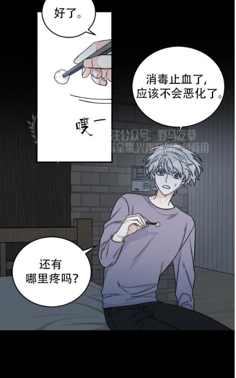 逐龙/追龙[耽美]韩漫全集-第8话无删减无遮挡章节图片 