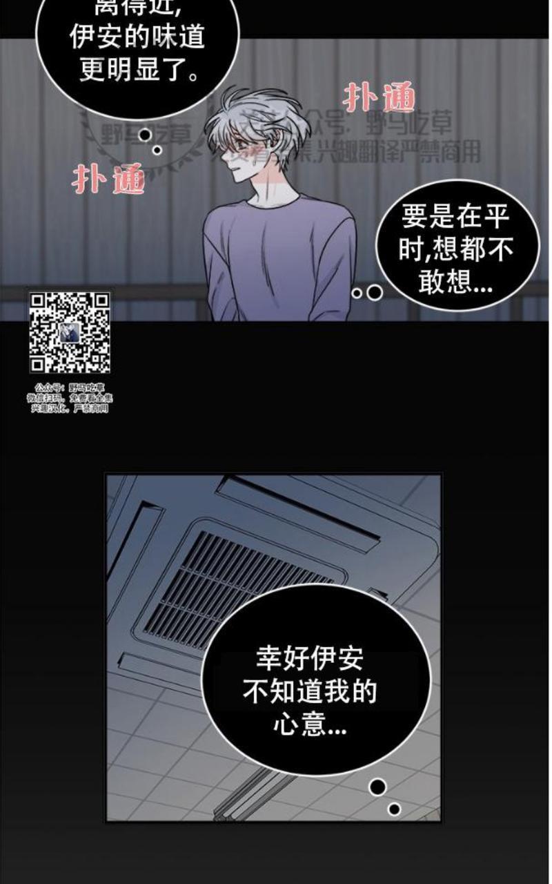 逐龙/追龙[耽美]韩漫全集-第8话无删减无遮挡章节图片 