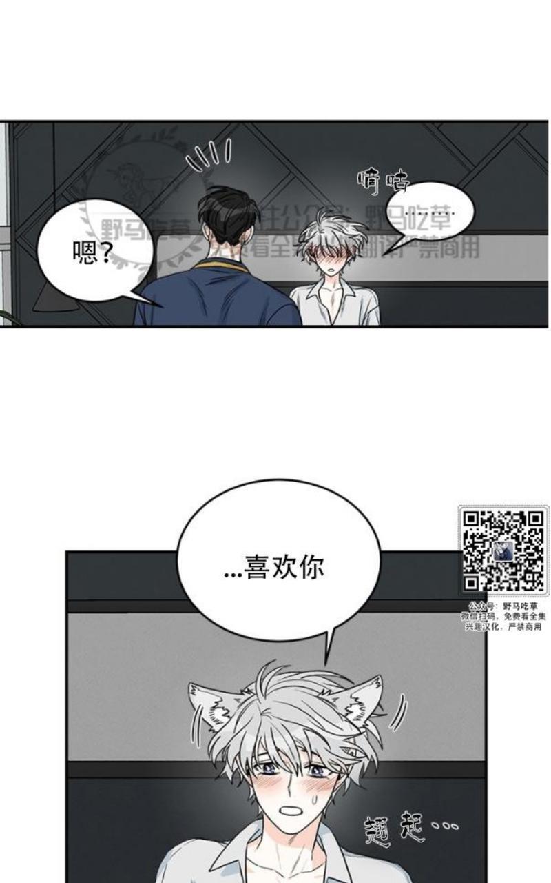逐龙/追龙[耽美]韩漫全集-第8话无删减无遮挡章节图片 