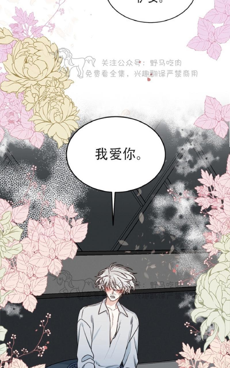 逐龙/追龙[耽美]韩漫全集-第9话无删减无遮挡章节图片 