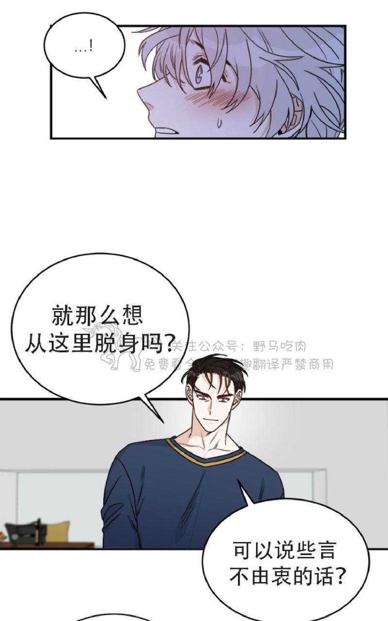 逐龙/追龙[耽美]韩漫全集-第9话无删减无遮挡章节图片 