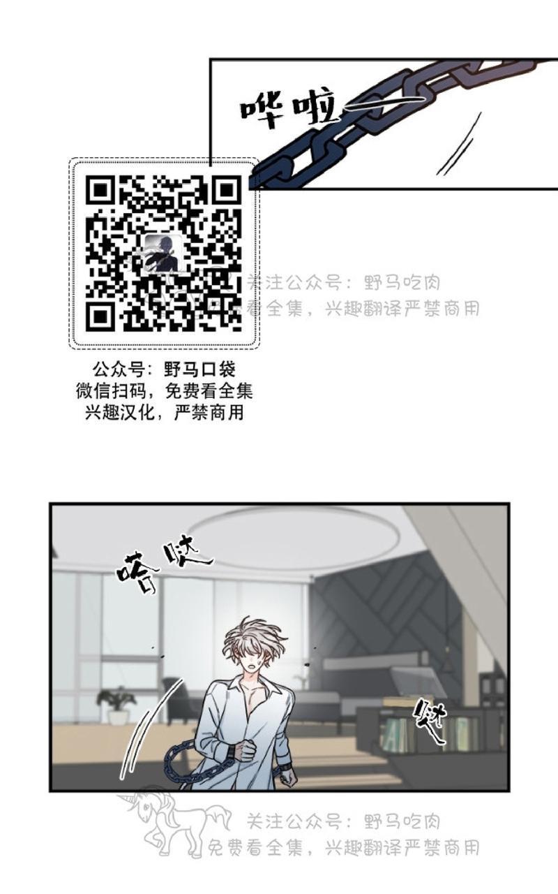 逐龙/追龙[耽美]韩漫全集-第9话无删减无遮挡章节图片 