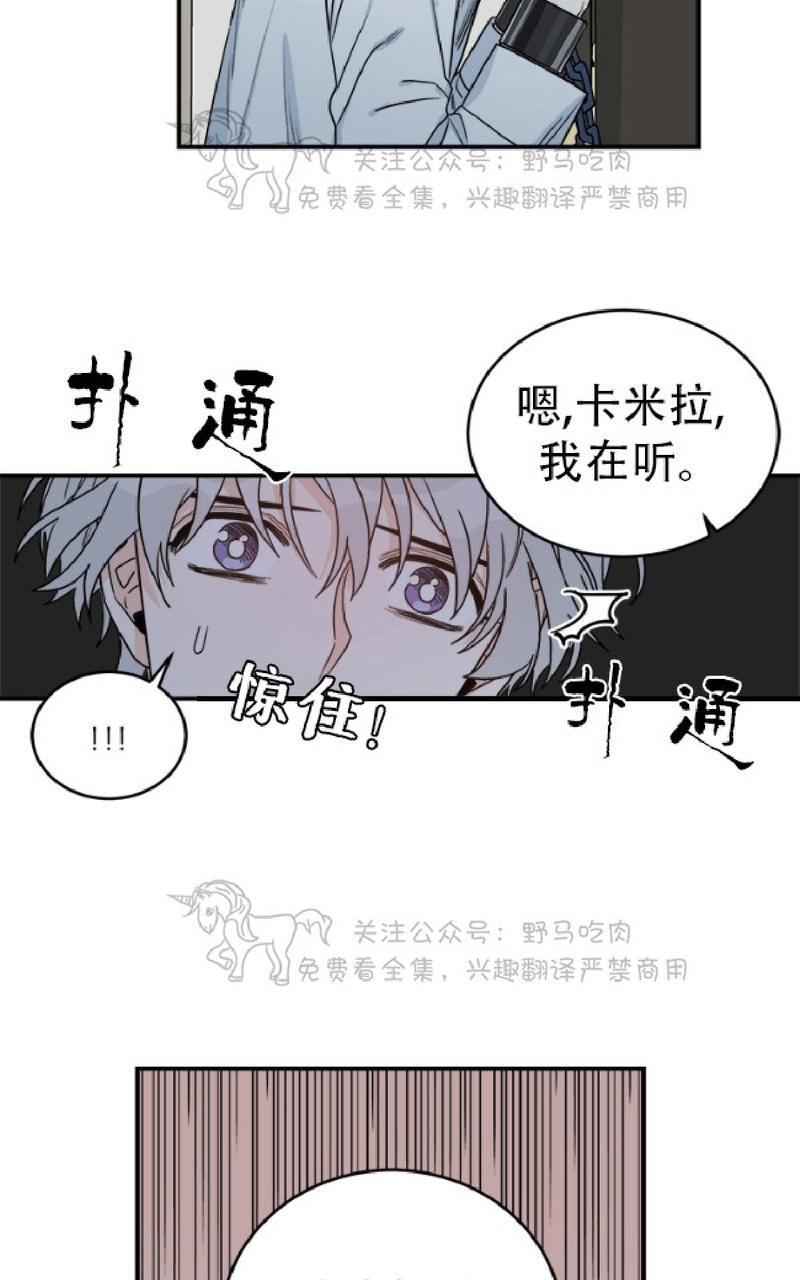 逐龙/追龙[耽美]韩漫全集-第9话无删减无遮挡章节图片 