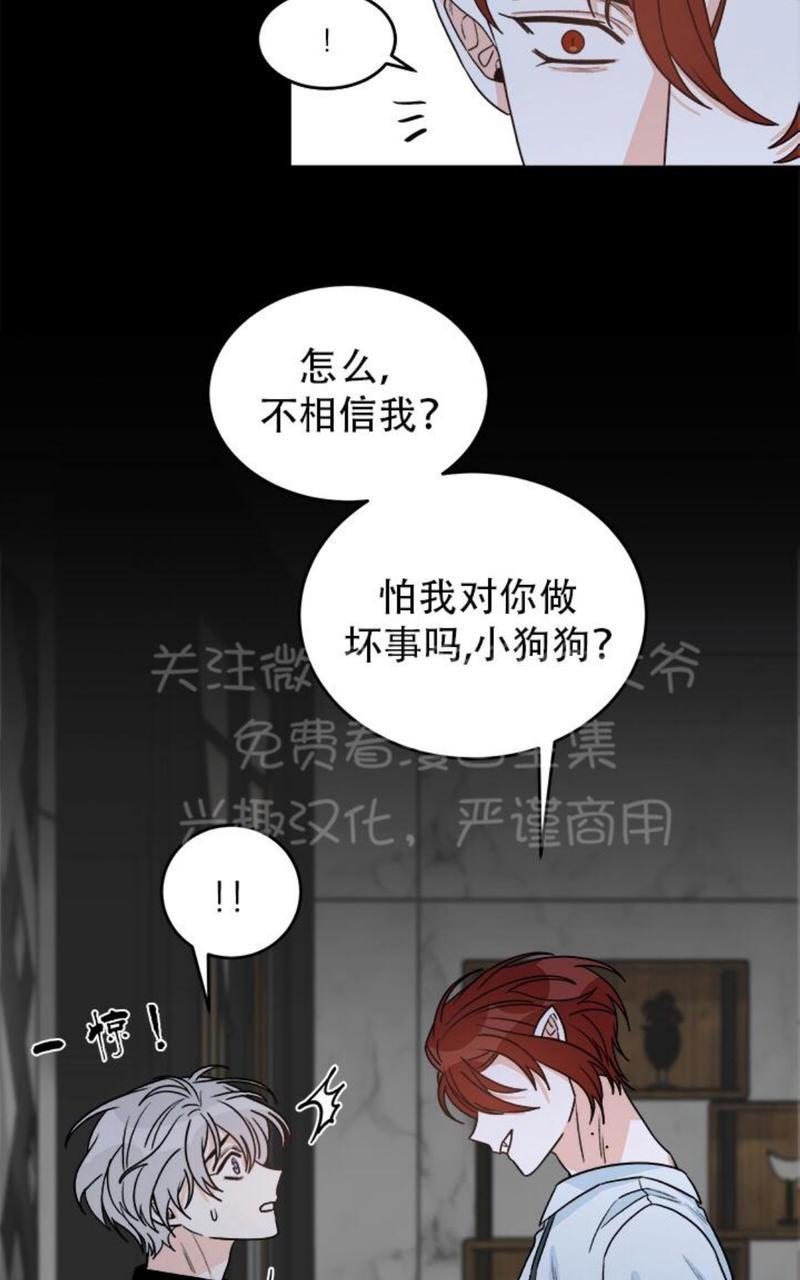 逐龙/追龙[耽美]韩漫全集-第10话无删减无遮挡章节图片 