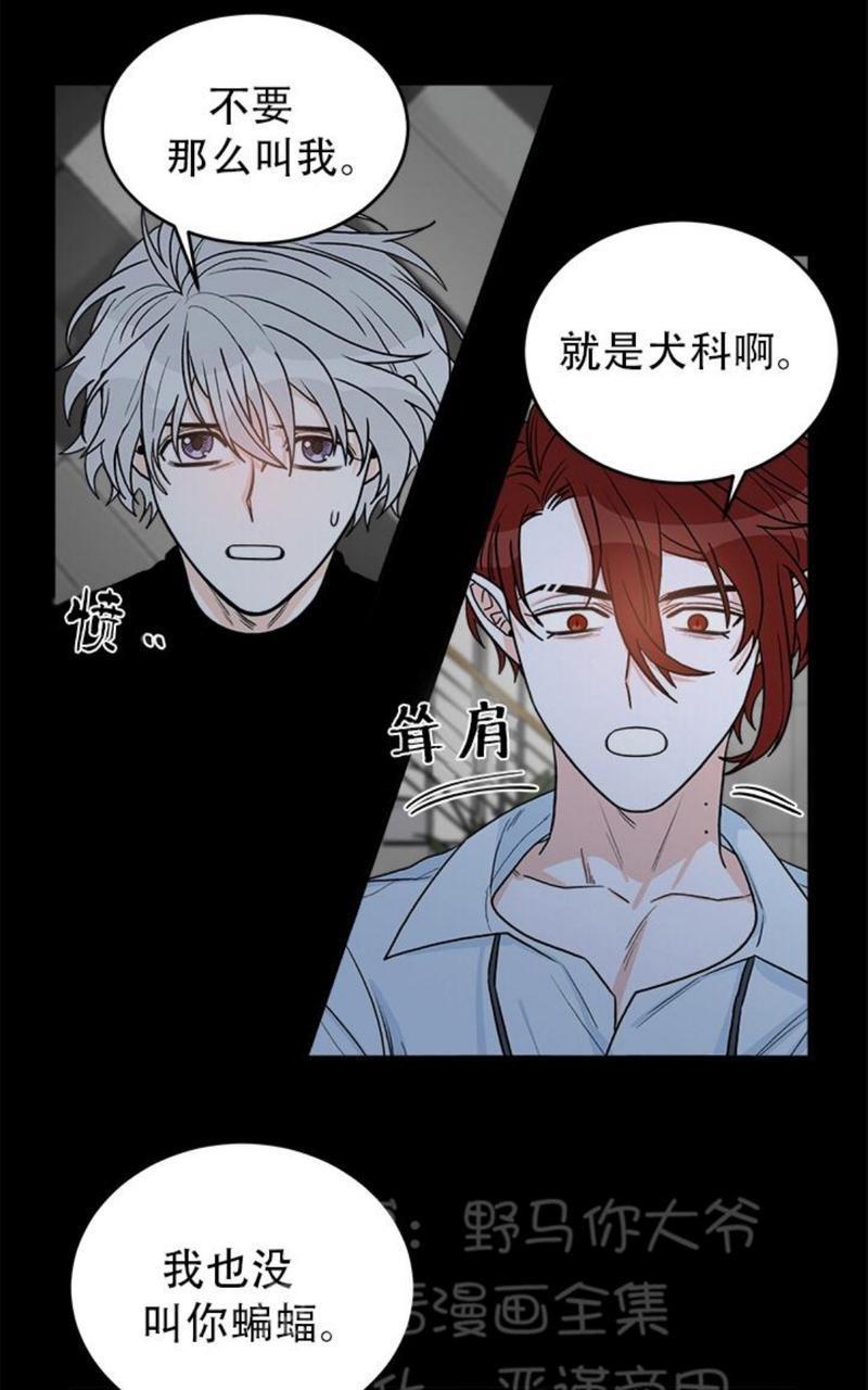 逐龙/追龙[耽美]韩漫全集-第10话无删减无遮挡章节图片 