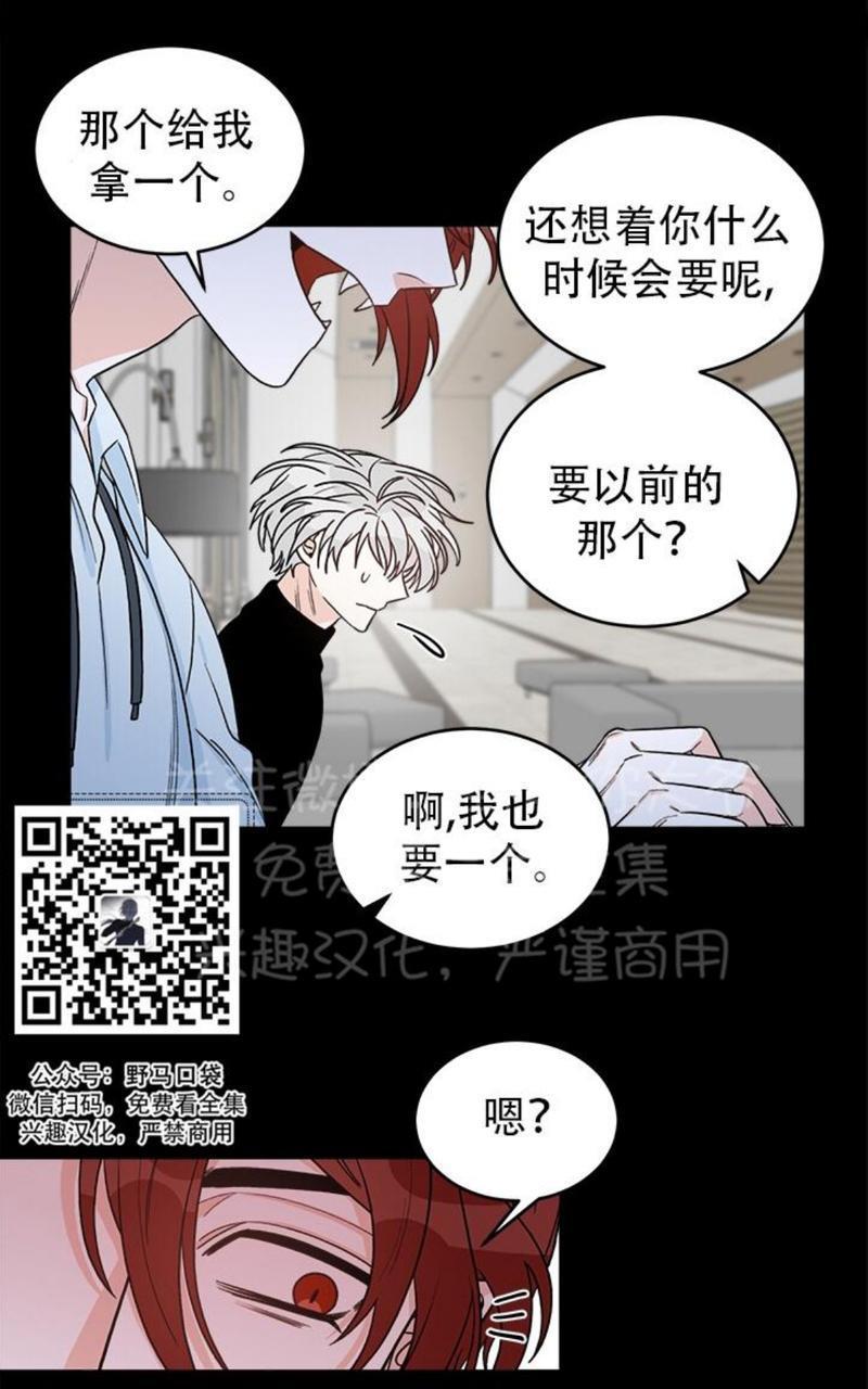 逐龙/追龙[耽美]韩漫全集-第10话无删减无遮挡章节图片 
