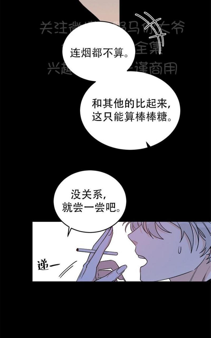 逐龙/追龙[耽美]韩漫全集-第10话无删减无遮挡章节图片 